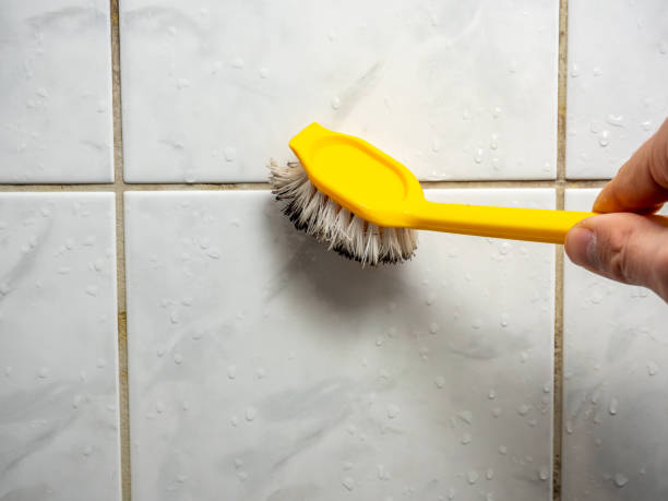 Best Emergency Mold Removal  in Stony Point, MI
