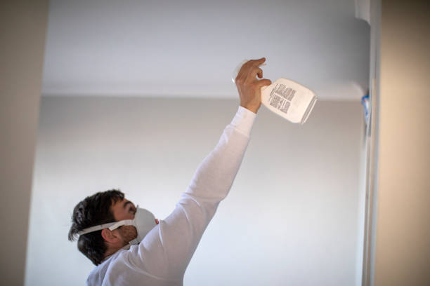 Best Professional Mold Removal  in Stony Point, MI