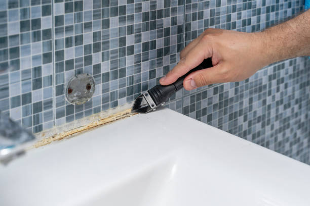 Best Toxic Mold Removal  in Stony Point, MI